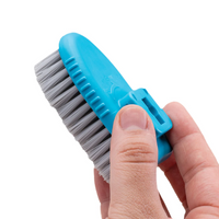 Shoe Brush
